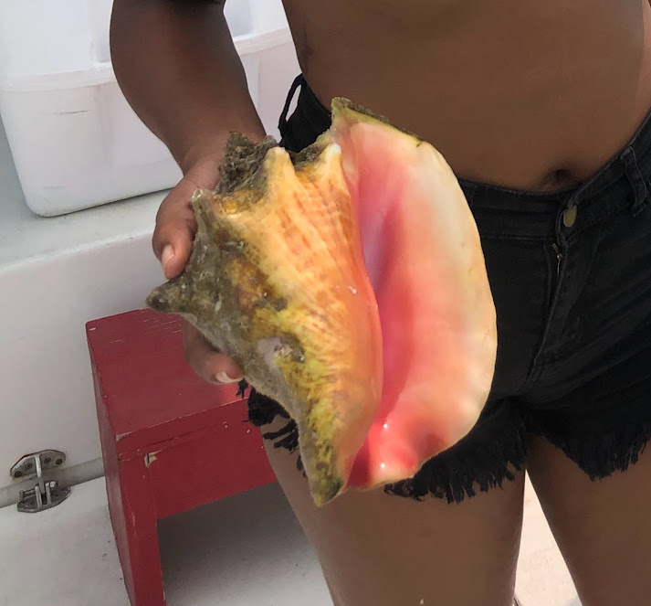 Inside a conch shell on boat trip - TheShyFoodBlogger