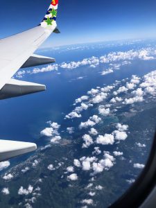 Flying over Jamaica - TheShyFoodBlogger