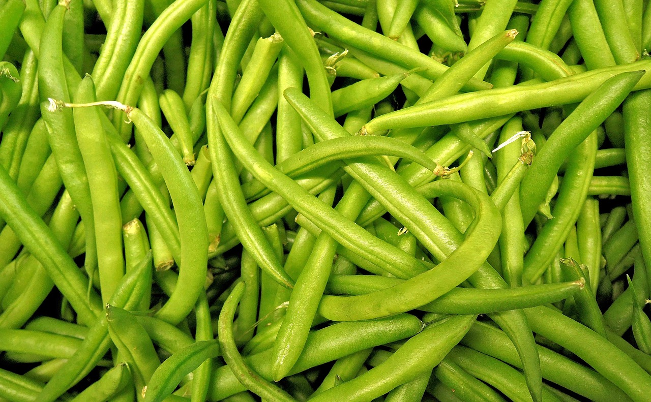 green beans, harvest, vegetable-1018624.jpg