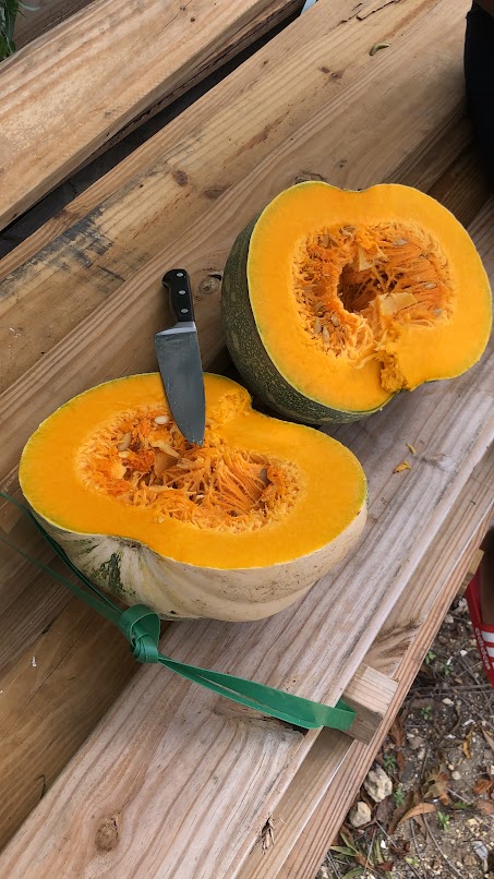 Fresh Organic Pumpkin