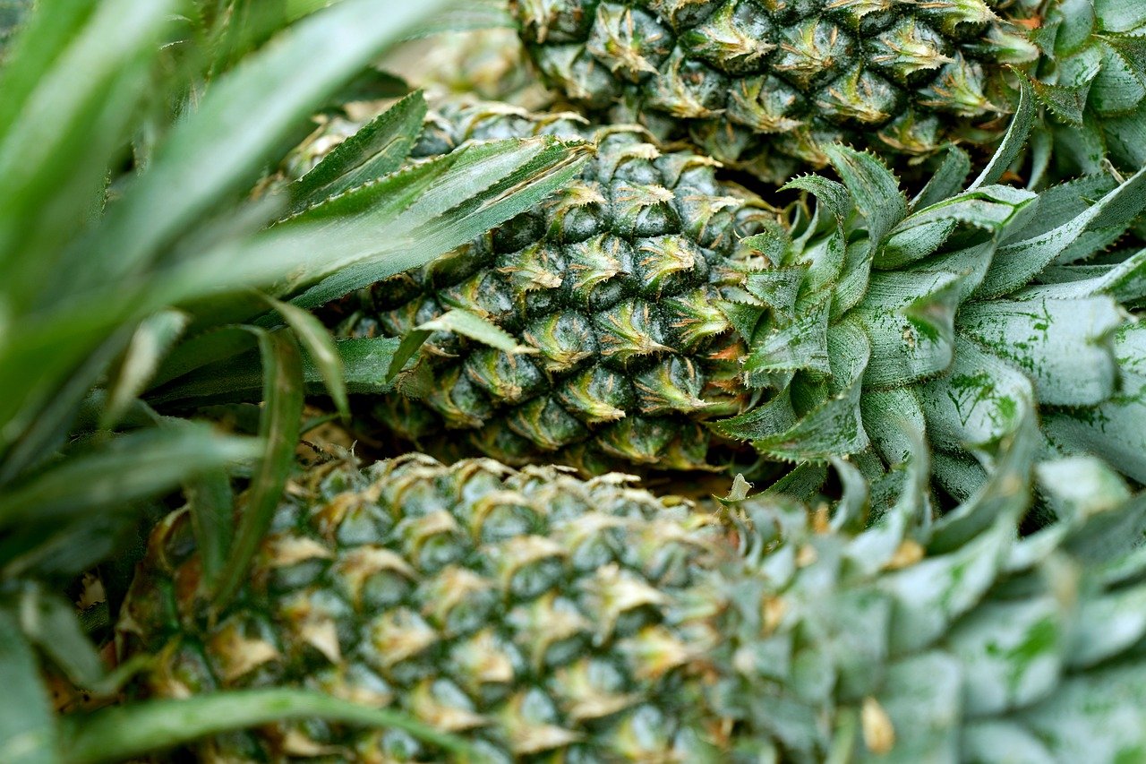 pineapple, fruit, fresh-8440180.jpg