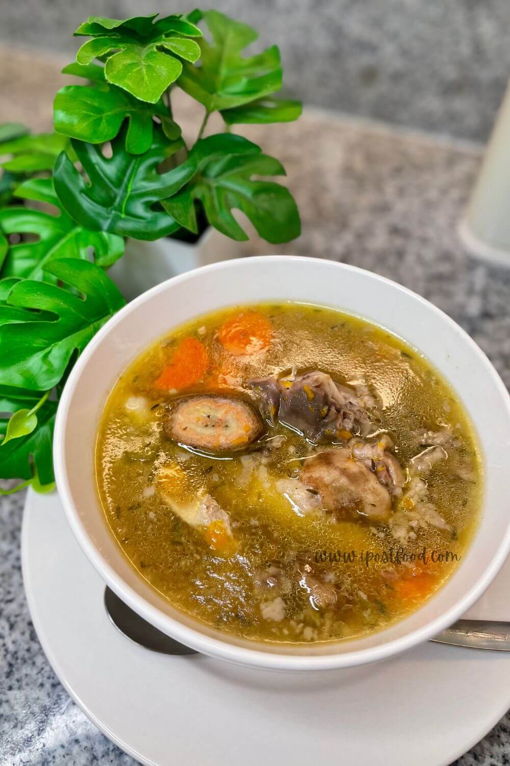 THESHYFOODBLOGGER goat soup